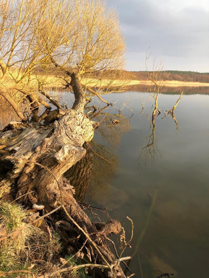 Hotel Zwischen Den Seen Waren  Eksteriør bilde